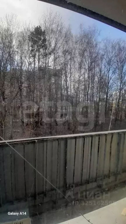 1-к кв. Калужская область, Калуга Московская ул., 313 (29.8 м) - Фото 2