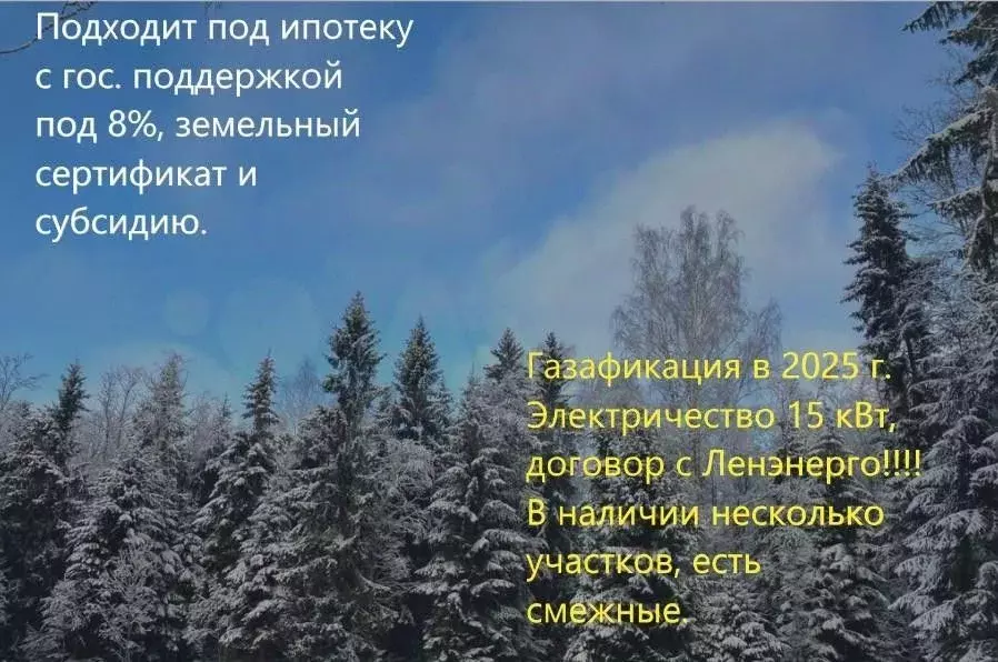 Участок в Ленинградская область, Ломоносовский район, Гостилицкое ... - Фото 1