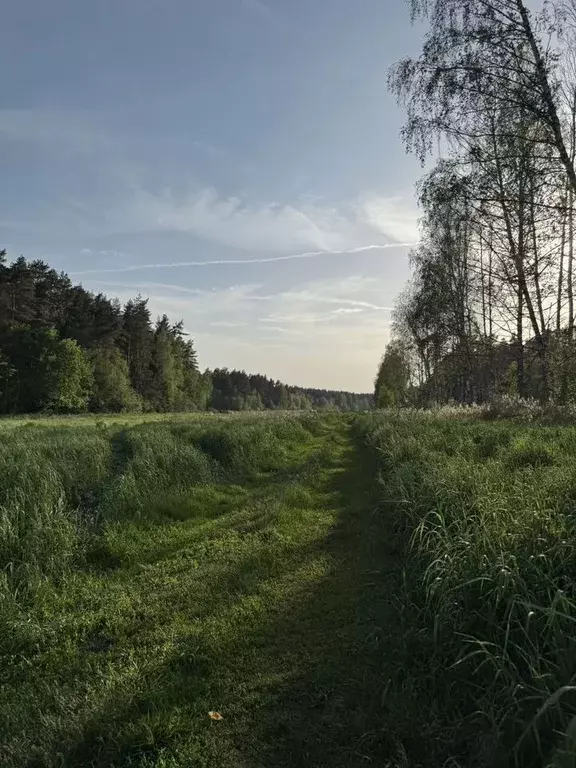 Участок в Московская область, Раменский муниципальный округ, ... - Фото 2