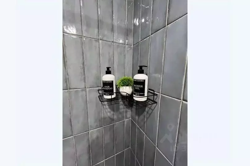 1-к кв. Санкт-Петербург просп. Энергетиков, 8к2 (26.0 м) - Фото 1