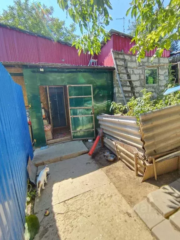 Дом в Саратовская область, Саратов Затон мкр, 428А (62 м) - Фото 1