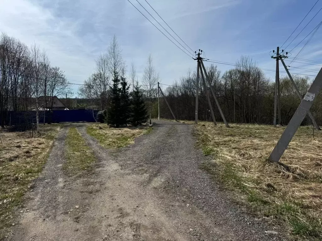 Участок в Московская область, Чехов муниципальный округ, д. Алексеевка ... - Фото 1