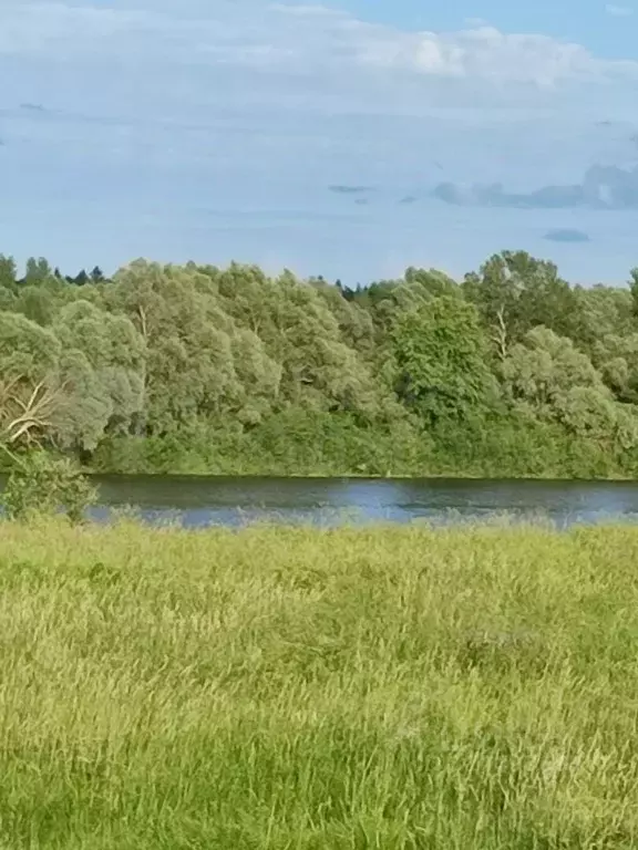 Участок в Новгородская область, Новгородский район, Савинское с/пос, ... - Фото 1