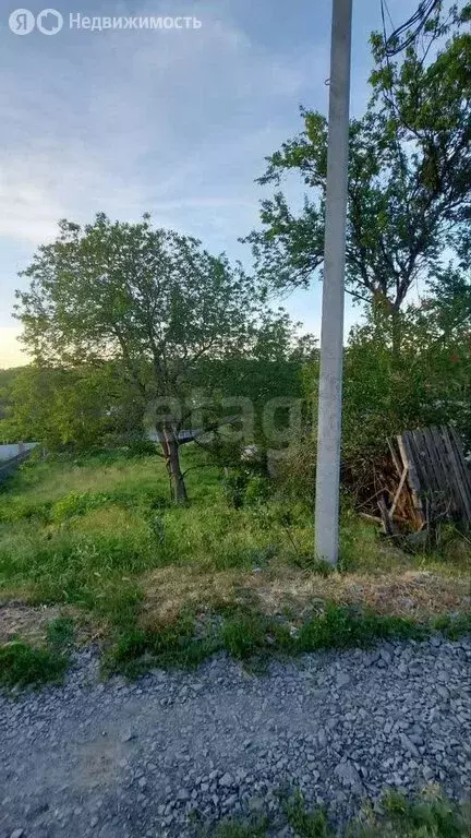 Участок в Ростов-на-Дону, садовое товарищество Садовод-Любитель, ... - Фото 1