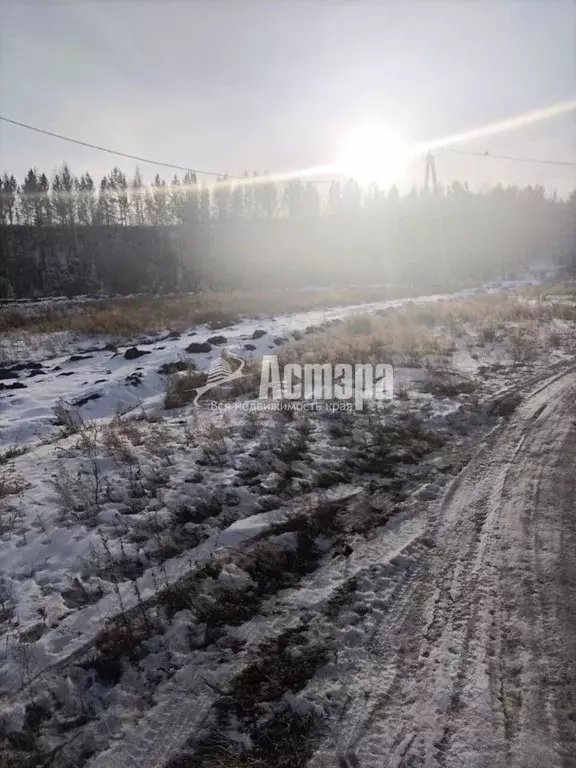 Участок в Забайкальский край, Чита ул. Жасминовая, 4 (8.45 сот.) - Фото 1