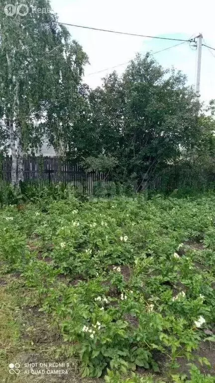 Участок в Курган, СНТ Надежда (12 м) - Фото 1