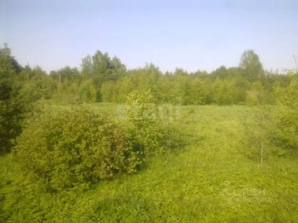 Участок в Тверская область, Кимрский муниципальный округ, д. Молоди  ... - Фото 2