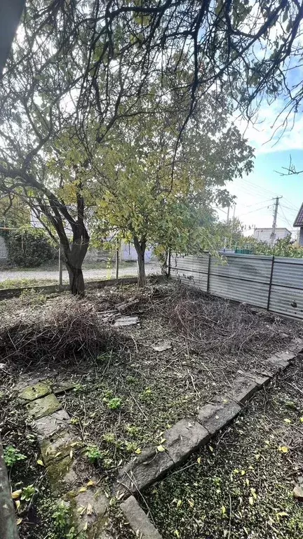 Участок 3,5 сот. (СНТ, ДНП) - Фото 1