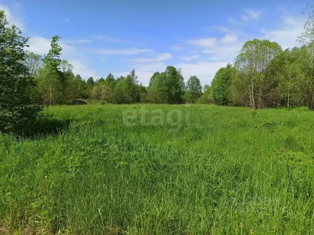 Участок в Ленинградская область, Волховский район, Потанинское с/пос, ... - Фото 1