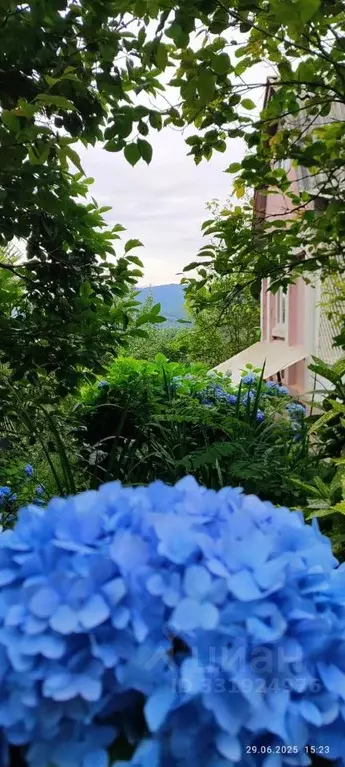 Дом в Краснодарский край, Сочи городской округ, с. Сергей-Поле, СНТ ... - Фото 2