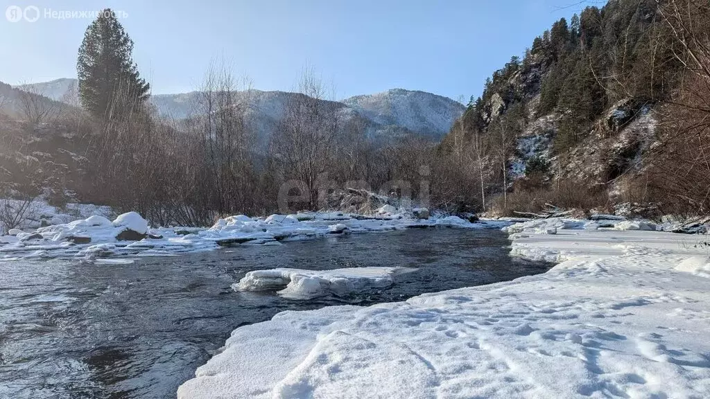 Участок в Чемальский район, Элекмонарское сельское поселение, село ... - Фото 2
