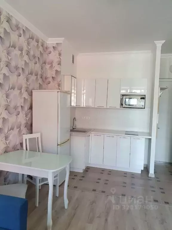 Студия Москва просп. Прокшинский, 10 (24.0 м) - Фото 1