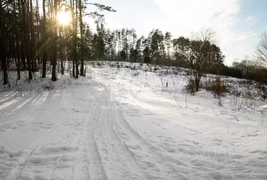 Участок в Новосибирская область, Искитимский район, Мичуринский ... - Фото 2