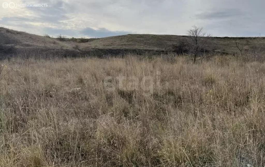 Участок в Коктебель, садово-огородническое товарищество Коктебель (7 ... - Фото 2