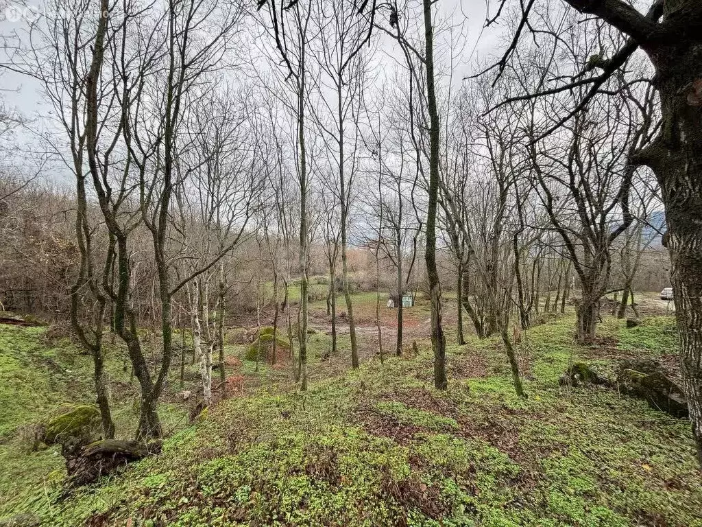 Участок в Республика Крым, муниципальный округ Алушта, село Лучистое ... - Фото 2