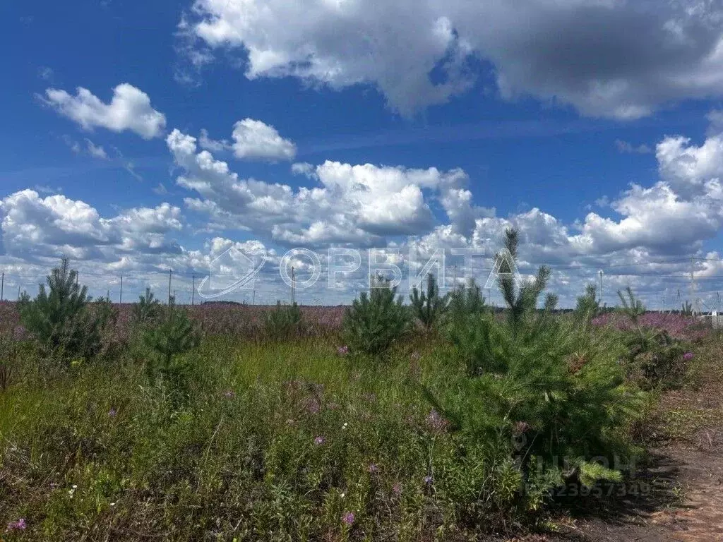 Участок в Тюменская область, Тюменский муниципальный округ, д. Елань ... - Фото 2