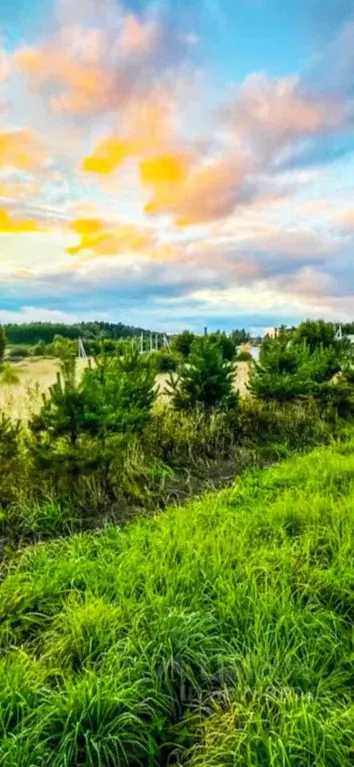 Участок в Московская область, Дмитровский городской округ, д. Базарово ... - Фото 1