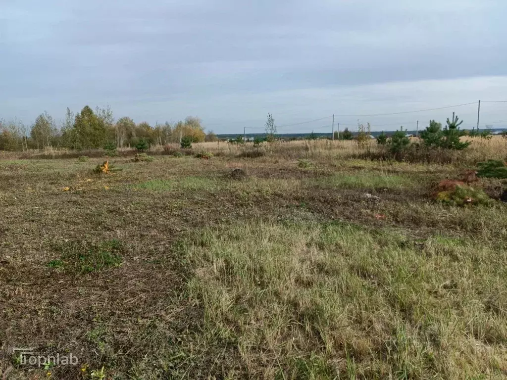 Участок в Тамбовская область, Тамбовский муниципальный округ, пос. ... - Фото 2