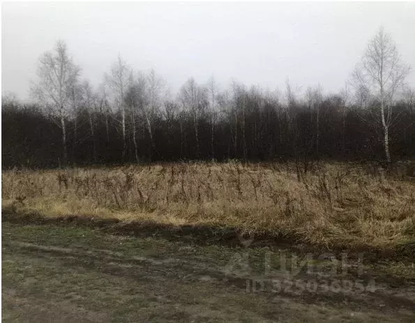 Участок в Московская область, Зарайск муниципальный округ, д. ... - Фото 1