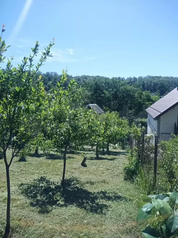 Дача 30 м на участке 4,1 сот. - Фото 1