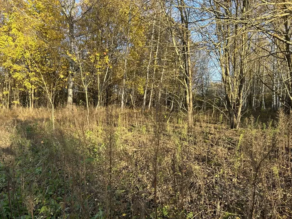 Участок в Московская область, Клин городской округ, д. Соголево  (6.0 ... - Фото 1