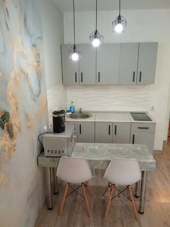 Студия Новосибирская область, Новосибирск Беловежская ул., 4/1 (25.0 ... - Фото 1