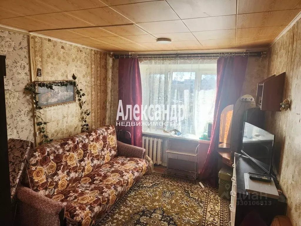 Комната Ленинградская область, Приозерск ул. Ленина, 60а (17.5 м) - Фото 1