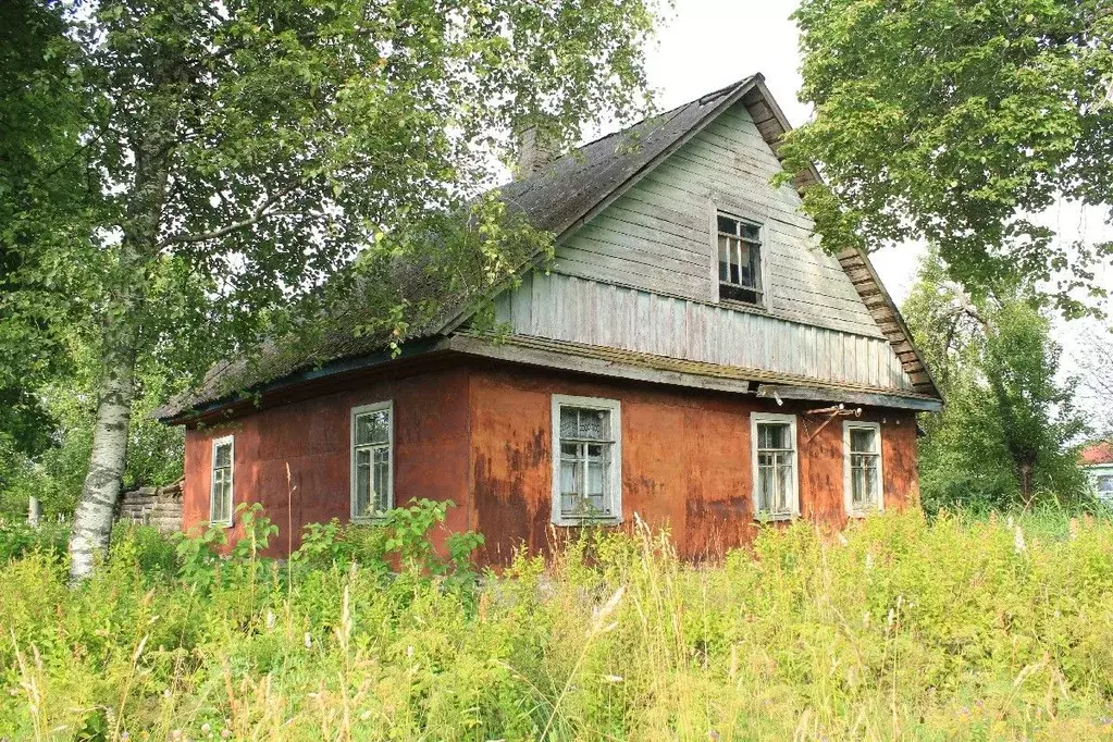 Дом в Псковская область, Гдовский район, д. Залосенье  (42 м) - Фото 0