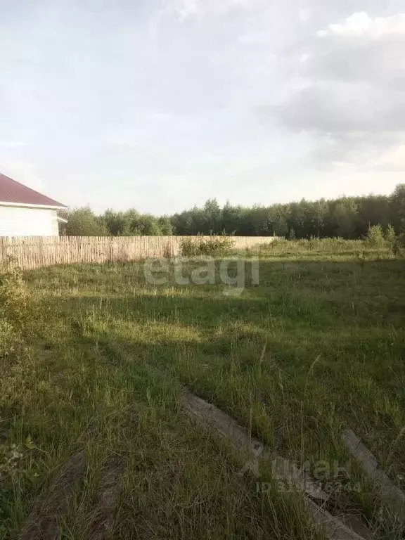 Участок в Нижегородская область, Выкса городской округ, с. Борковка ... - Фото 1