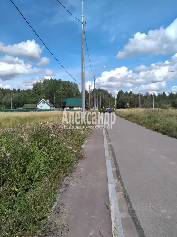 Участок в Ленинградская область, Выборгский район, Каменногорское ... - Фото 1