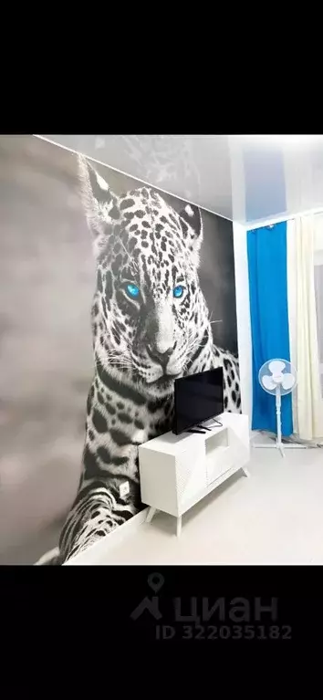 1-к кв. Псковская область, Псков Линейная ул., 85 (38.0 м) - Фото 1