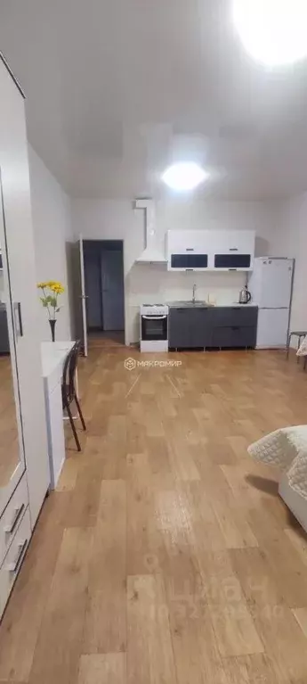 Студия Новосибирская область, Новосибирск Горский мкр, 63/1 (35.0 м) - Фото 2