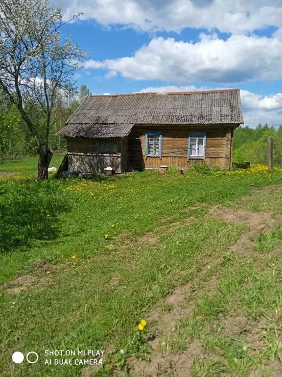 Дом в Псковская область, Невельский муниципальный округ, д. Церковище  ... - Фото 1
