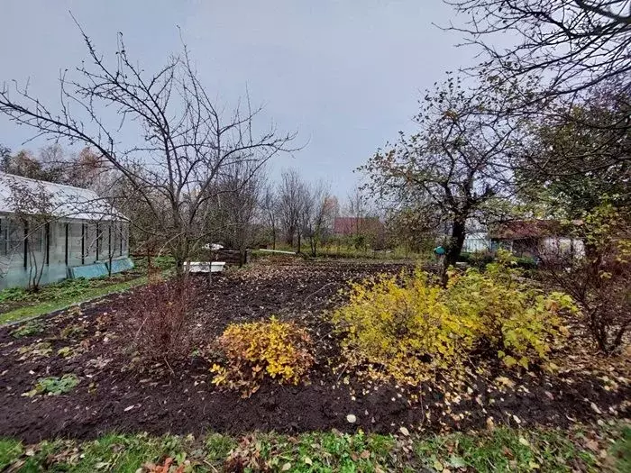 Купить Дачу В Городе Бор