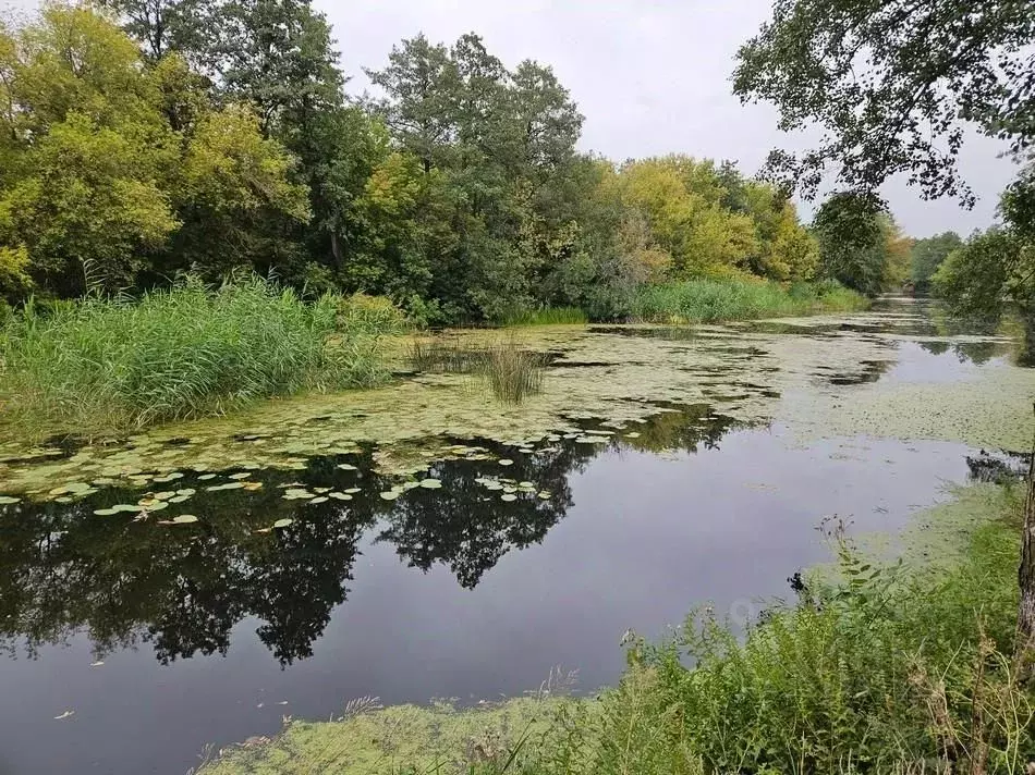 Участок в Воронежская область, Новоусманский район, Хреновское с/пос, ... - Фото 0