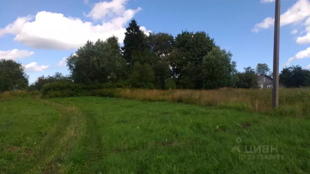 Участок в Псковская область, Локнянский муниципальный округ, д. ... - Фото 2