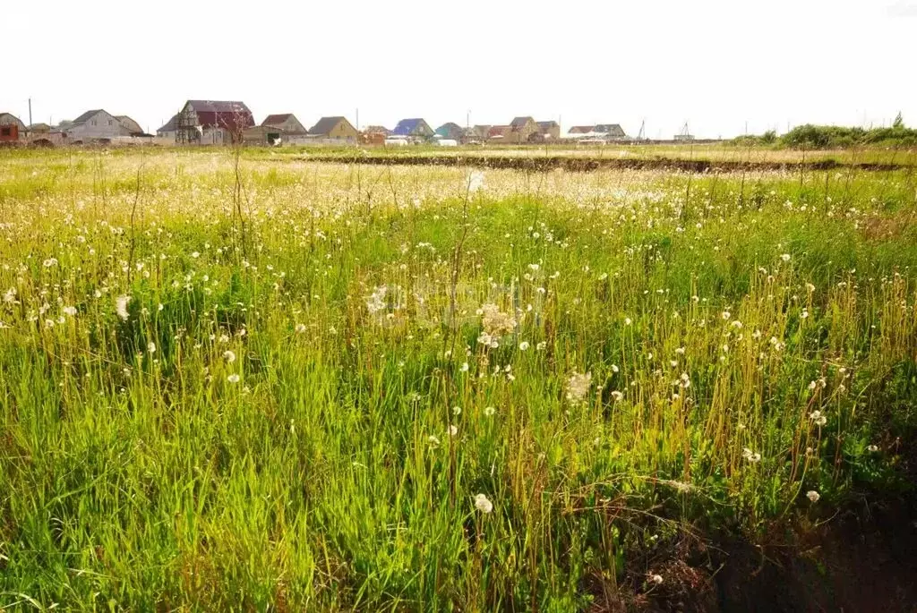Участок в Ялуторовск, улица Егорова (8 м) - Фото 2