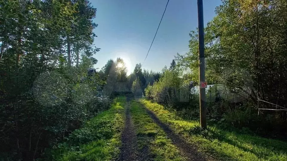 Участок 11 сот. (СНТ, ДНП) - Фото 1