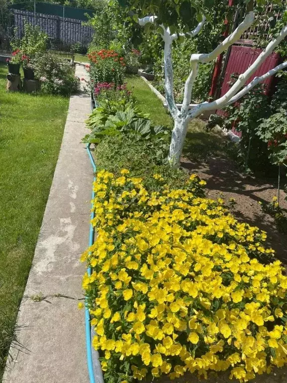 Дом в Волгоградская область, Городищенский район, Ерзовское городское ... - Фото 1