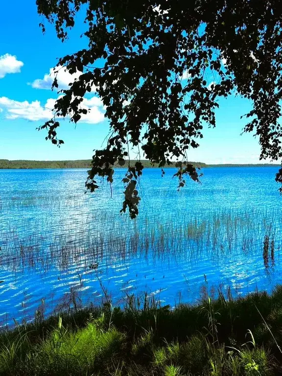 Участок 60 сот. (ИЖС) - Фото 0