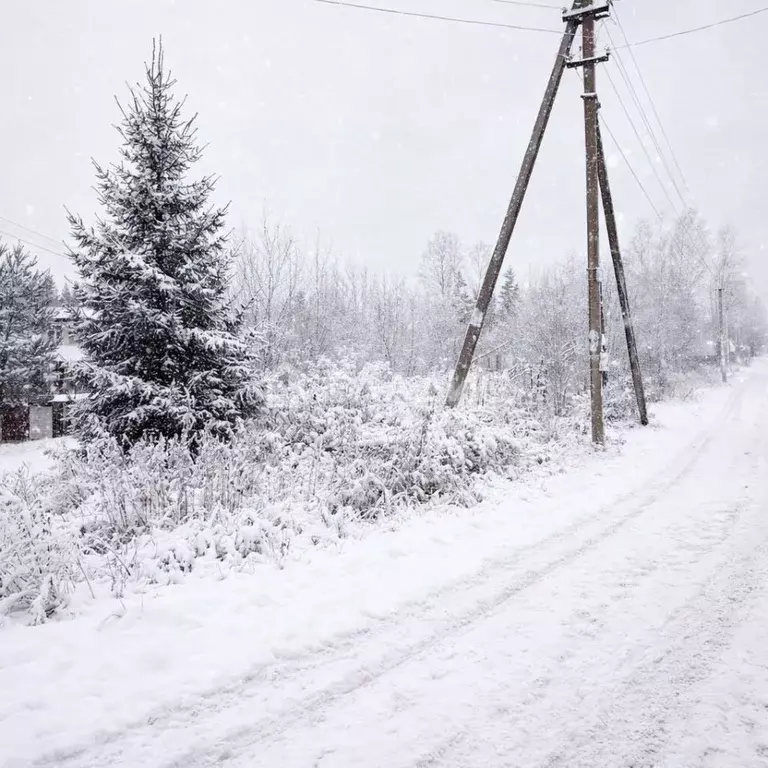 Участок в Ленинградская область, Всеволожский район, Агалатовское ... - Фото 2
