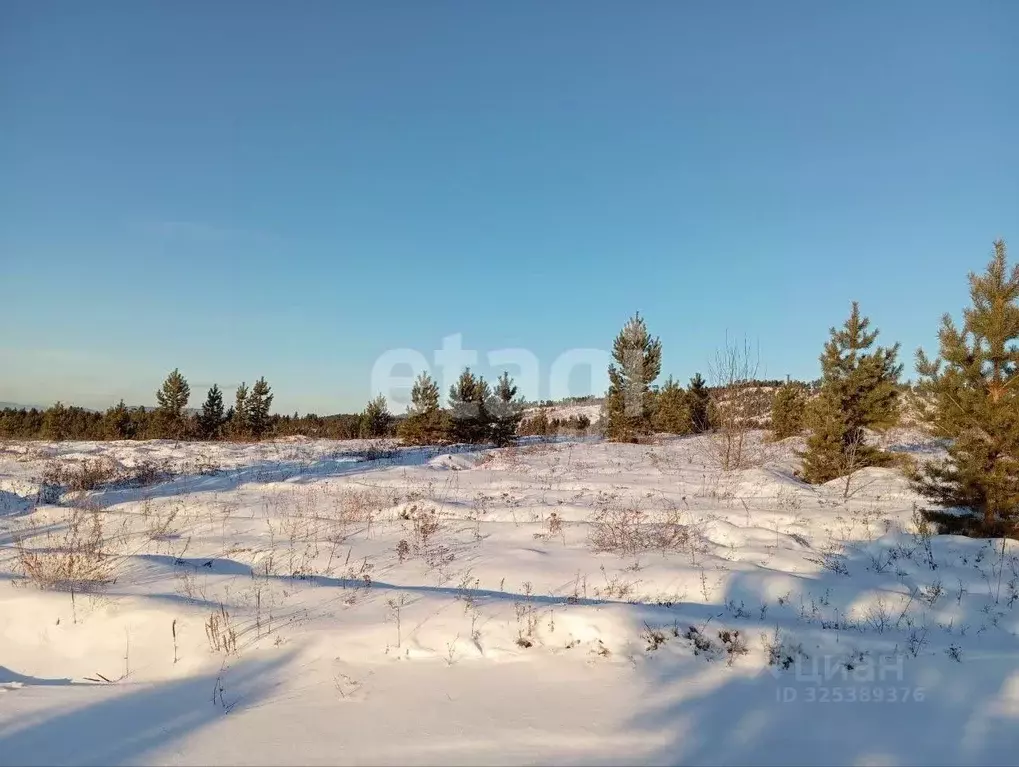 Участок в Бурятия, Тарбагатайский район, Саянтуйское с/пос, с. Нижний ... - Фото 1