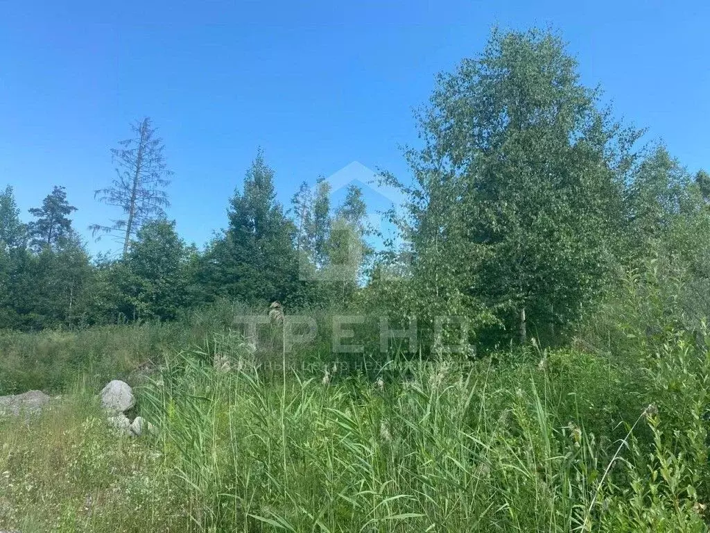 Участок в Ленинградская область, Шлиссельбург Кировский район, ул. ... - Фото 1