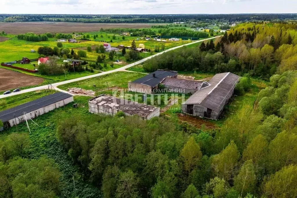 Помещение свободного назначения в Ленинградская область, Волосовский ... - Фото 1