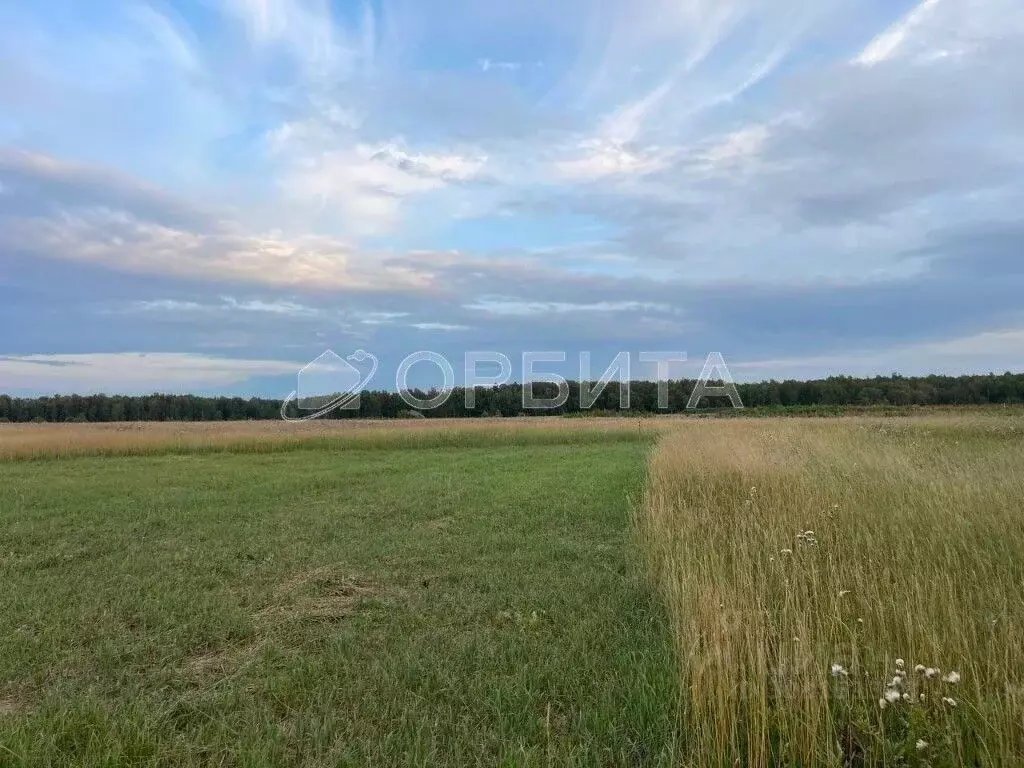 Участок в Тюменская область, Тюменский район, Новокаменский кп  (6.0 ... - Фото 1