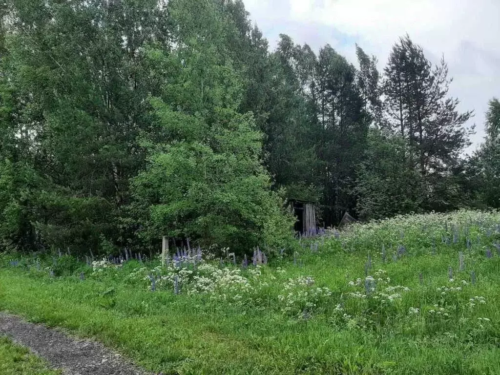 Участок в Кировская область, Куменский район, Нижнеивкинское городское ... - Фото 0