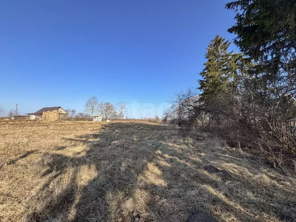 Дом в Псковская область, Псковский район, Завеличенская волость, д. ... - Фото 1