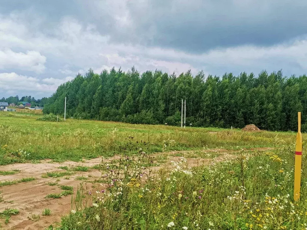 Участок в Ивановская область, Ивановский район, Беляницкое с/пос, Елки ... - Фото 2