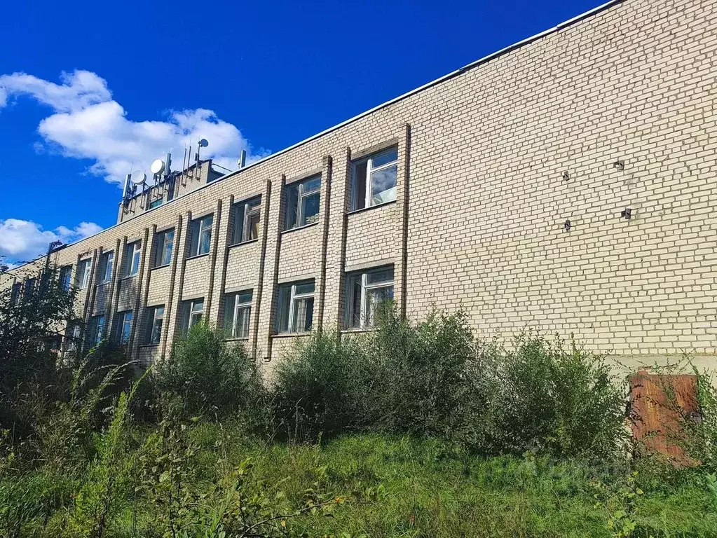 Помещение свободного назначения в Мордовия, Лямбирский район, с. ... - Фото 1