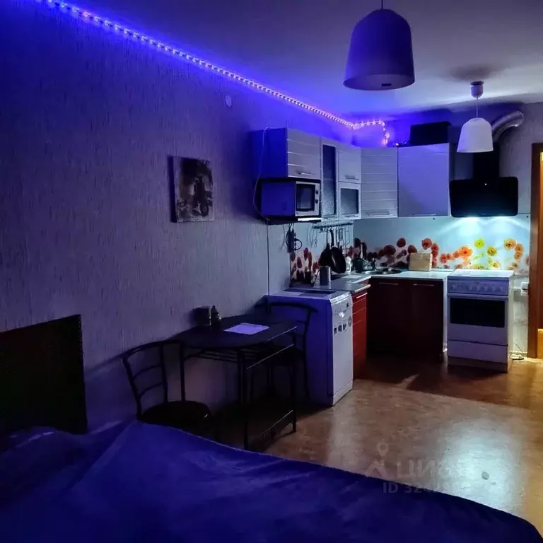 Студия Красноярский край, Красноярск ул. Карамзина, 6 (26.0 м) - Фото 2